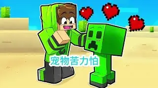 MC我的世界：宠物苦力怕 #我的世界中国版 #我的世界金苹果杯 #我的世界年度模组#游戏解说 #我的世界动画