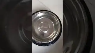 UNBOXING DOG BOWL 🥣....... SCOUT EATING DOG FOOD FOR FIRST TIME IN DOG FEEDING BOWL.... 🙂