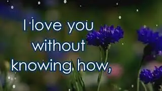 i Love you Quotes for him - Love Quotes For Him Cute Love Quotes And Wishes for Whatsapp & Facebook