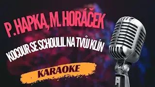 Karaoke - Petr Hapka & Michal Hor&aacute;ček - 