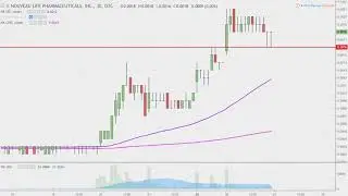 Nouveau Life Pharmaceuticals, Inc. - NOUV Stock Chart Technical Analysis for 12-26-2018