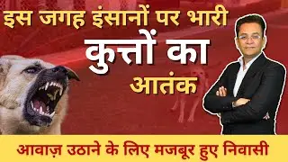 Stray Dog Issue Escalates: Jaypee Kosmos Society Residents Demand Action in Noida