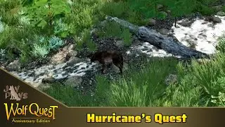 WolfQuest: Hurricane's Quest #22