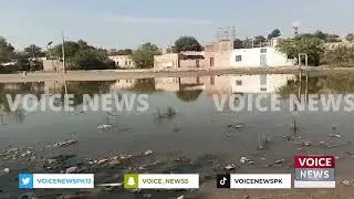 Rohari me Intezamia ki Gaflat ki wjha se new yard colony ka nya ground johar me badal gya