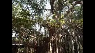 At Manoribel