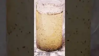 This chia jaggery lemonade is a natural energy booster 🍋🥤#DrFoodLab #healthyhydration #ChiaLemonade