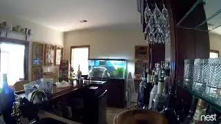90-Gallon Aquarium Spontaneously Cracks Open || ViralHog