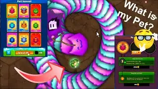 Littlebigsnake.io :) New Update :) Pet Updates!! Find out How many I got?
