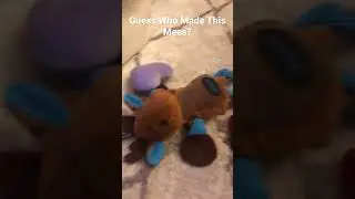 Who made this mess? #dogs #cute #happy #adorable #toypoodle #mess
