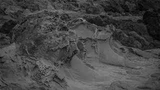 Max Ernst Goes to the Beach