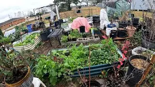 DAY BEFORE WINTER STORM