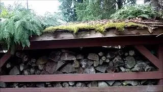 FERN AND MOSS ROOF COOL