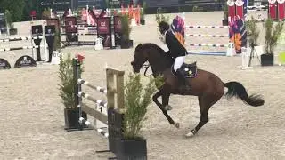 Gullit HBC. Stallion. Cantos x Namelus. 2011. 1.35/40 Mts. Class. CSI 2* Bonheiden. June 2021.