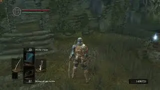 DSR MOVESWAP SETUP PATCH 1.01
