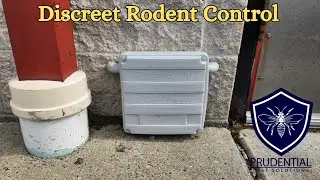 Discreet Rodent Control using an 