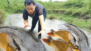 Daily life -Go fishing after a heavy rain,I saw a school of fish flooding in with the flood water