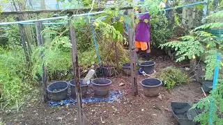 A Timelapse ~~ Clean up Drive on the left side frontyard.