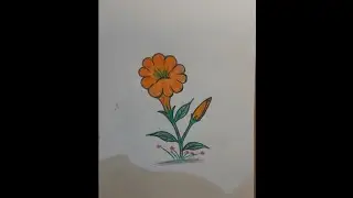 Handmade Flower pot Drawing with Beautiful color pencil Art