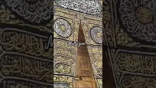 #Umrah #Trip #2024 #January #haram #shorts #Ka'bah #makkahlive #Shorts #unbelievable #Multazim#Love