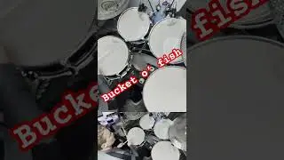 BucketOFish6 #drums #drum #drummer #drummerlife #cover #music #fish #musica #beats #live #rock #song