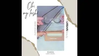 Oh, My Lash! - PLATINUM LASHES PLN005 Lash Angel
