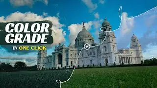 How to Add Professional-Quality Color to Your Videos in One Click