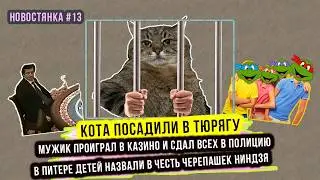 КОТА посадили в ТЮРЯГУ | Мужик сдал казино полиции | Дети с именами черепашек-ниндзя #Новостянка13