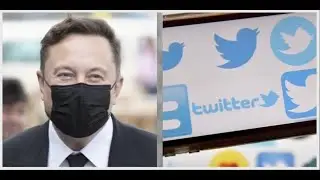 Elon Musk buying Twitter is &lsquo;the best thing that&rsquo;s ever happened&rsquo; to it: Strategist