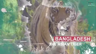 Best Brand Award 2019 - Methodology - How The Most Loved Brands of Bangladesh Are Identified