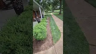 DETAILED DETAILS🎯 #stringleader #grassguru  #lawncare #lawnmaintenance #clean #quality #results #fyp