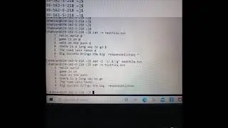Deleting a nasty last character at the end of each line in a file without opening it : In Unix.