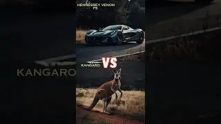 Cheetah vs Pagani  Speed Race 🐆🚗 #Shorts #YouTubeShorts #CarVsAnimal #Supercar #CheetahVsCar #fyp