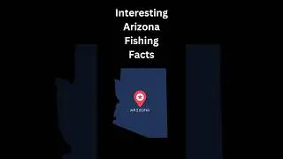 Interesting Arizona Fishing Facts; Trout Fishing Paradise