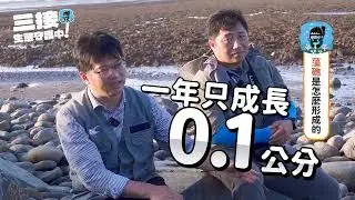 第三接收站生態守護中！跟著中油一起來認識藻礁生態