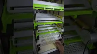 Satisfying Chicken Incubator