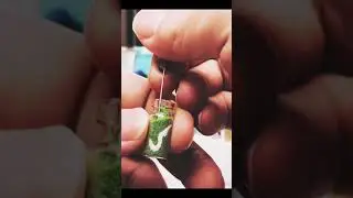 Amazing Video