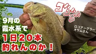 ロコアングラーと霞水系で1日20本釣れるかチャレンジしてみた！248話