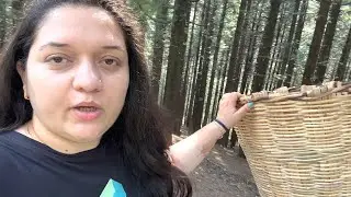 Today I Went Swarnim Vatica Kothi With Artist Tarun Vlogs&mdash;Some Glimpse Of Kullu Dhalpur Ground