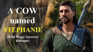 Fun little chat with Gale after Harpy fight (Wild Magic Sorcerer dialogue) - Baldur's Gate 3