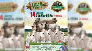 TROMBAS LEILÕES - TROMBAS GOIAS 14/ 01/ 2026