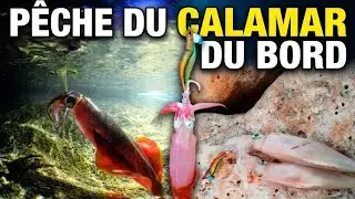 🦑✨ أسرار صيد الكلمار بالرابالا والبربارةpêche 🎣du calamar 🦑 du bord😍Tunis 🇹🇳