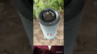 Sampu bass test jbl 🔊speaker
