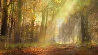 Autumn (Two-Part Choir)