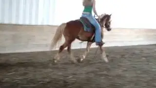 MOV02010