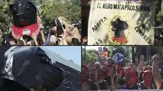 El Negro Matapacos, un perro &iacute;cono de resistencia social en Chile | AFP