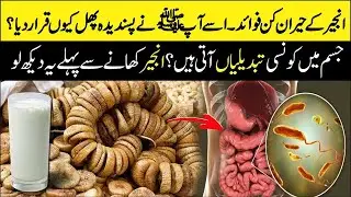 Amazing Health Benefits Of Fig | انجیرکے حیران کن فوائد | Health Bytes