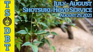 TS/DBT July-August Shotsuki-Hoyo - August 29, 2021