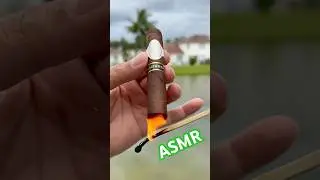 Davidoff MADURO cigar ASMR #davidoff #stdupontlighter #stdupont #asmr #cigarshow #cigarsociety