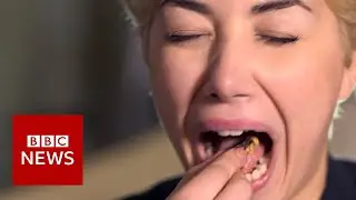 Can eating insects save the planet? | BBC News | SAHAR ZAND