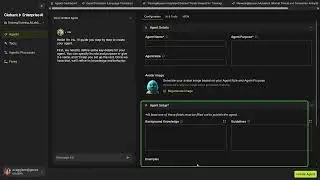 Agent Panel and Agent Configuration section